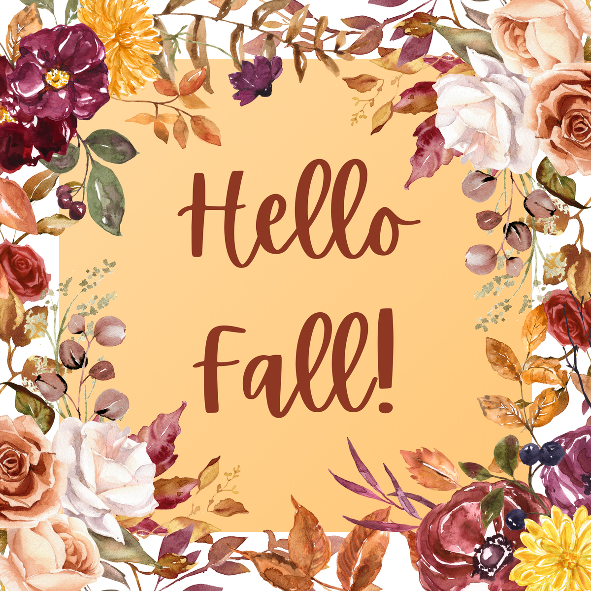 Fall Arrivals!